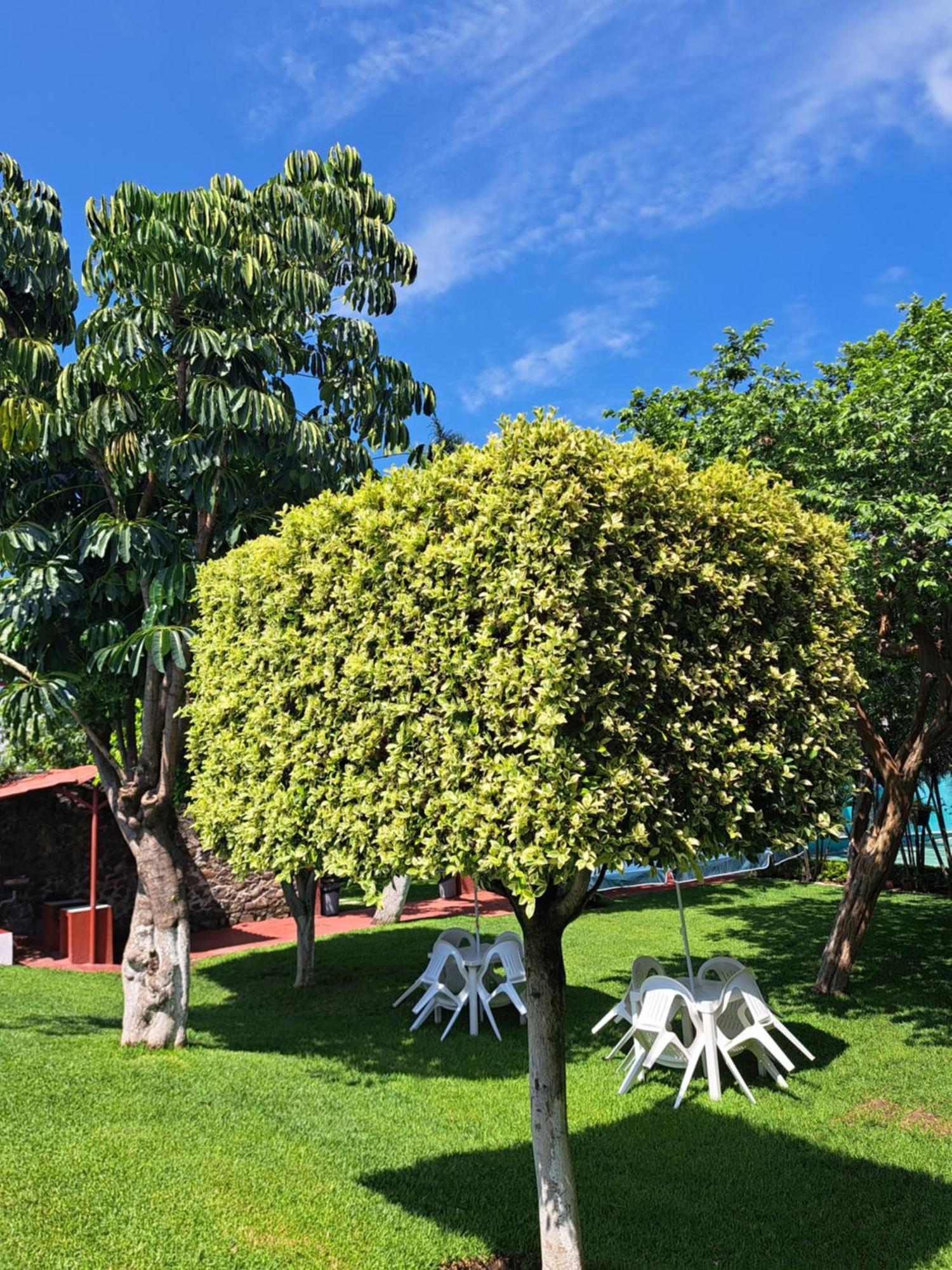 Hotel Quinta Paraiso Cocoyoc Kültér fotó